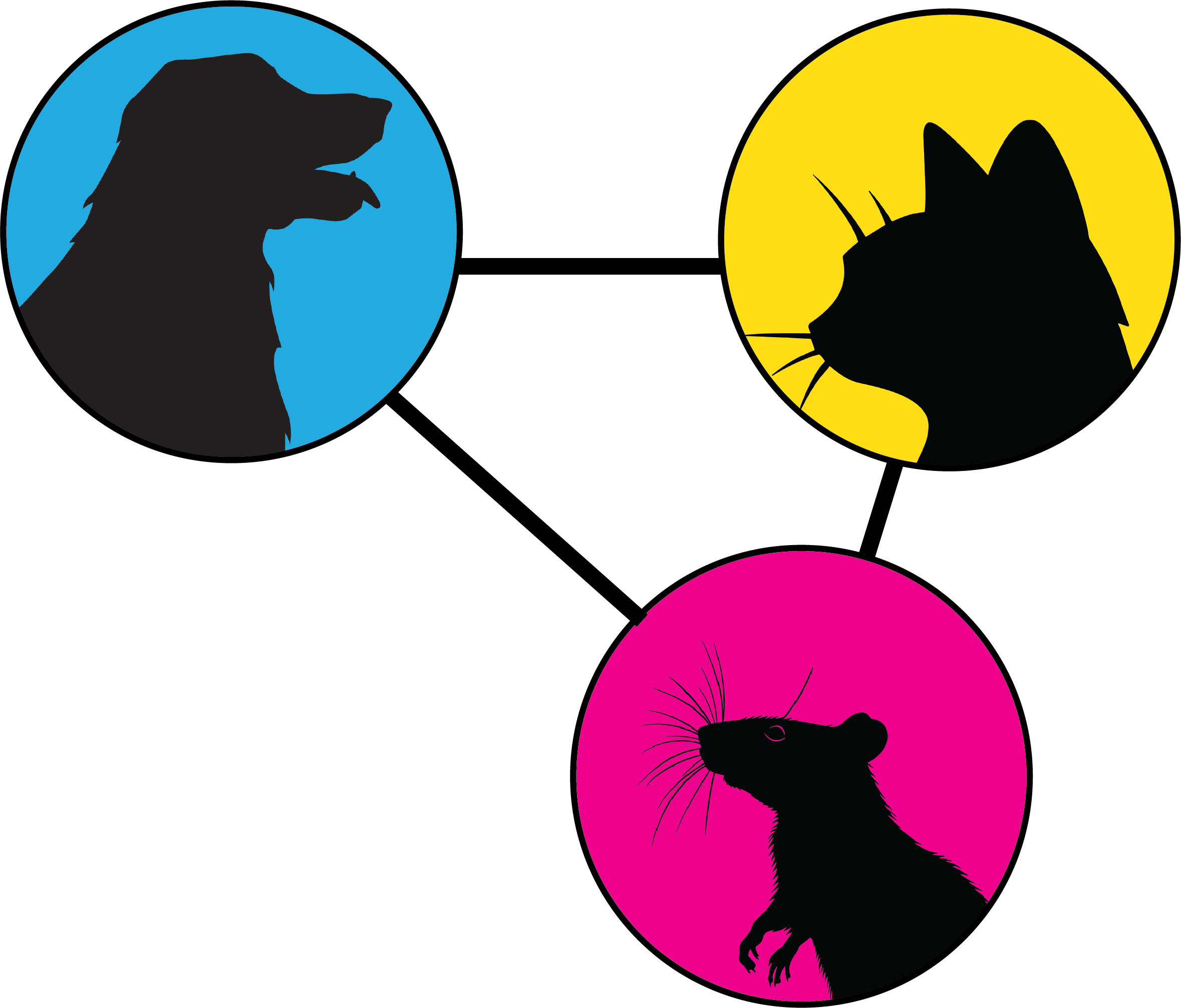 semantic relations between cat, dog, leash